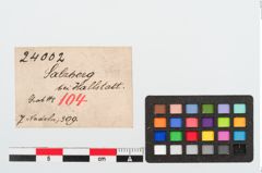 Etikett zu Bronzekugelkopfnadel (NHMW-PRAE-024002)